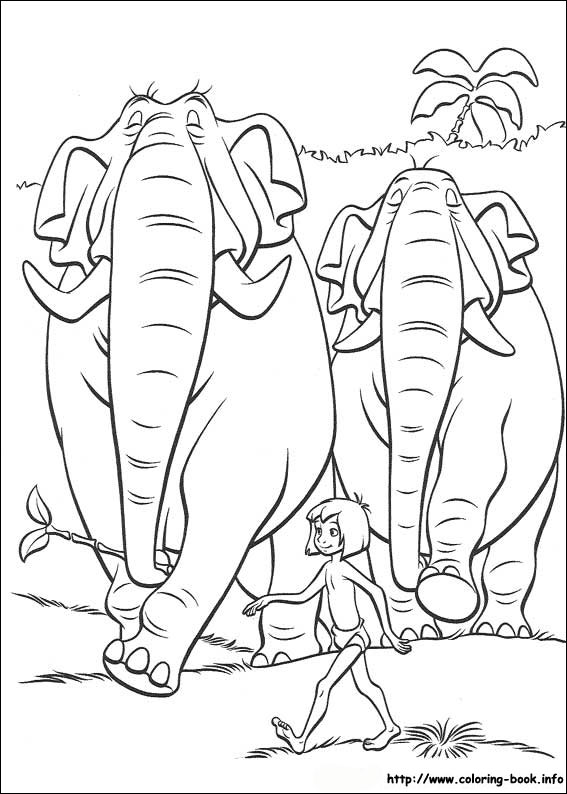 Jungle Book coloring picture